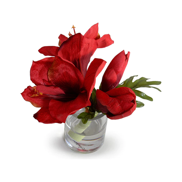 Amaryllis Cutting Park and Oak Collected