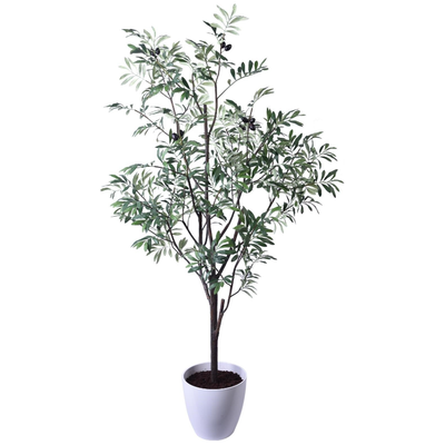 Olive Tree Potted 60"