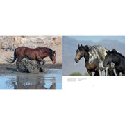 Wild Horses of the West