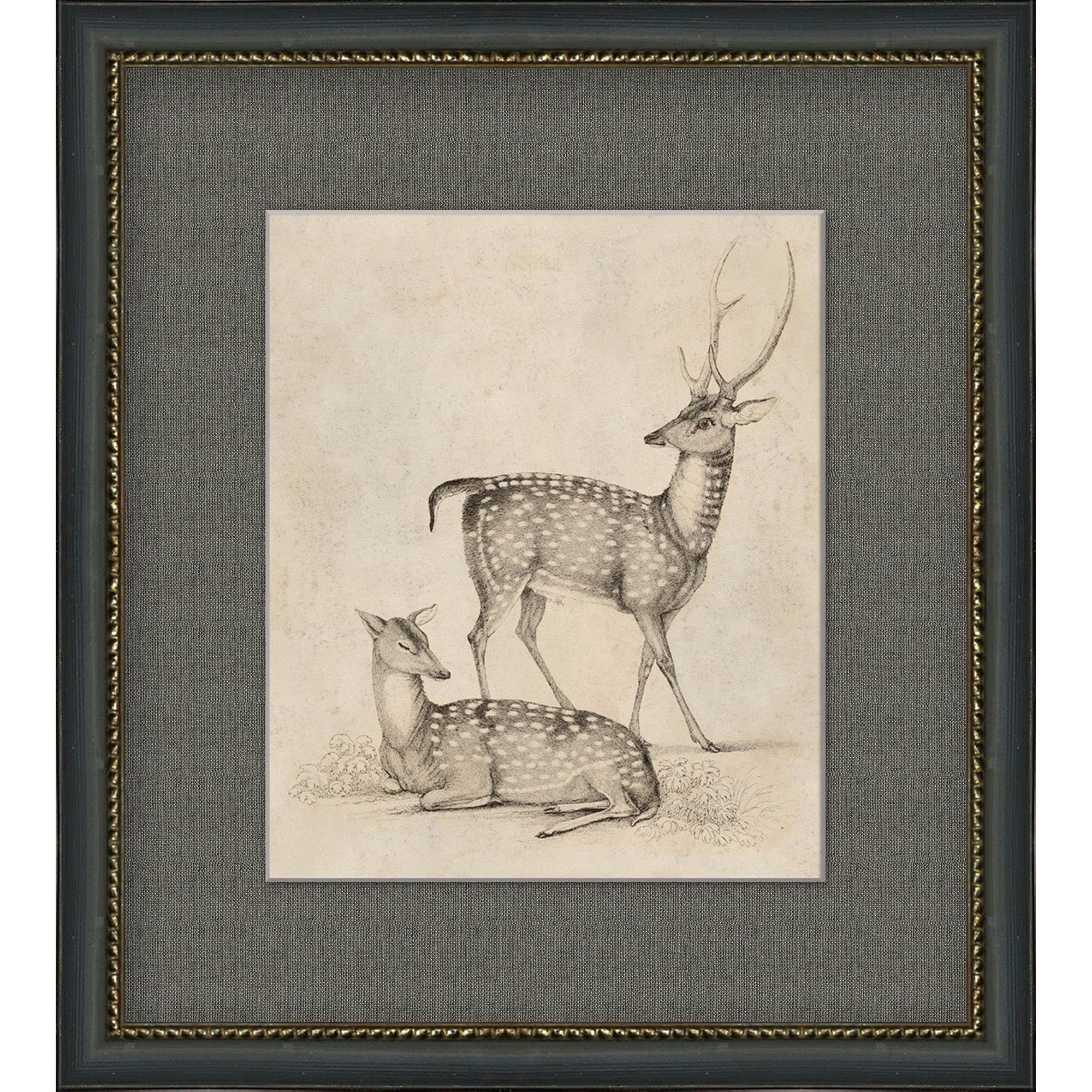 Antique Deer