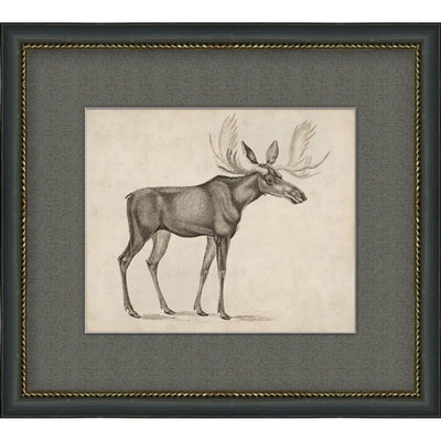 Antique Moose