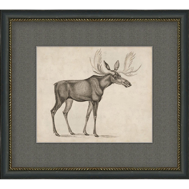 Antique Moose