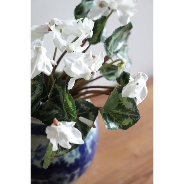 Cyclamen Spray Stem