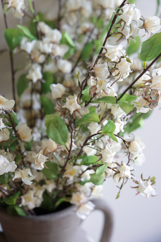 36" CREAM WILD LANTERN BUSH