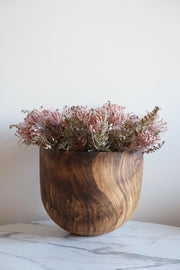 Leucospermum Bush Stem