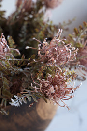 Leucospermum Bush Stem