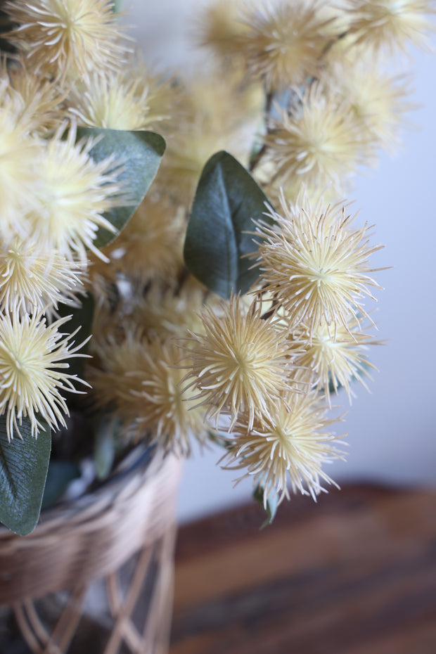 25" Cream Brown Thistle Stem