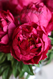 Peony Stem with Leaves, 26"- Dark Fuschia