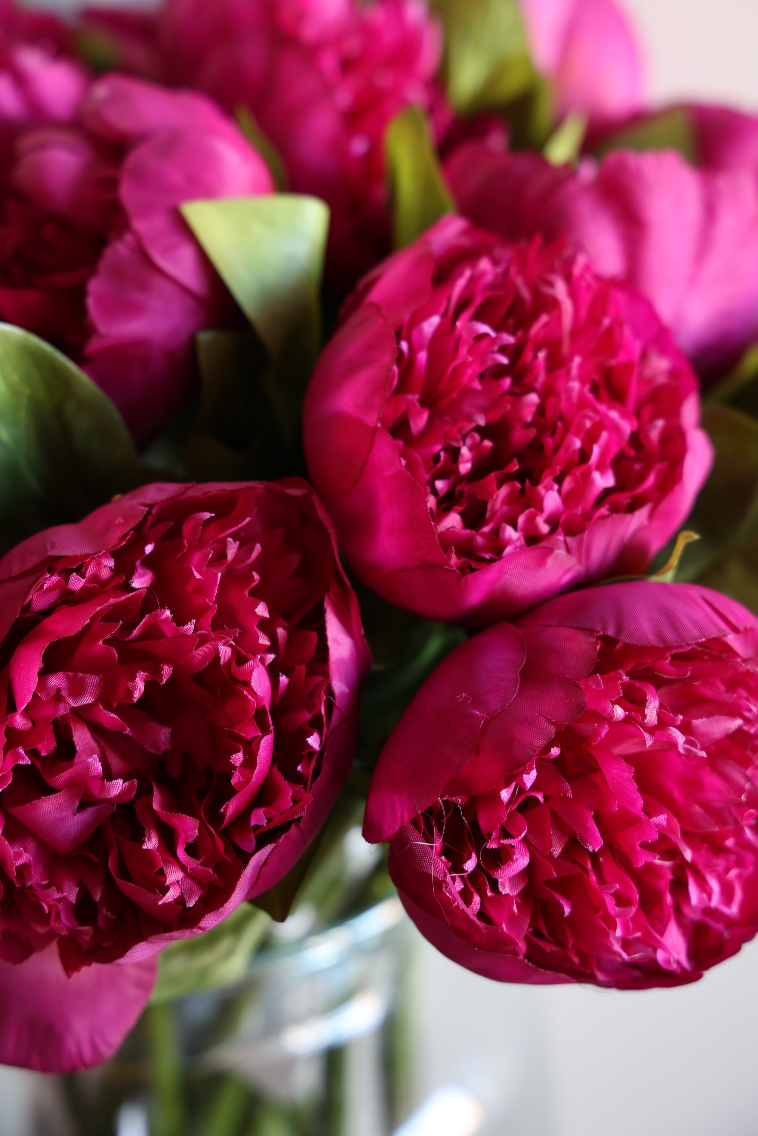 Peony Stem with Leaves, 18