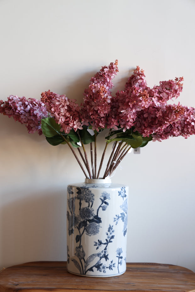 Cone Hydrangea Sunset