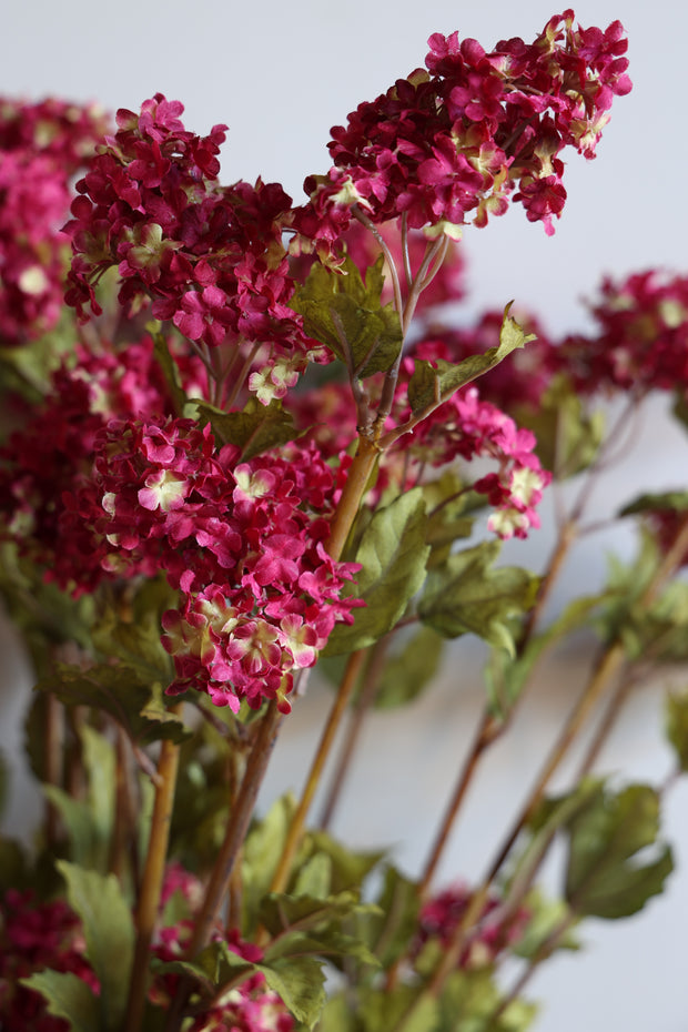 Snowball Stem- Large Fuschia