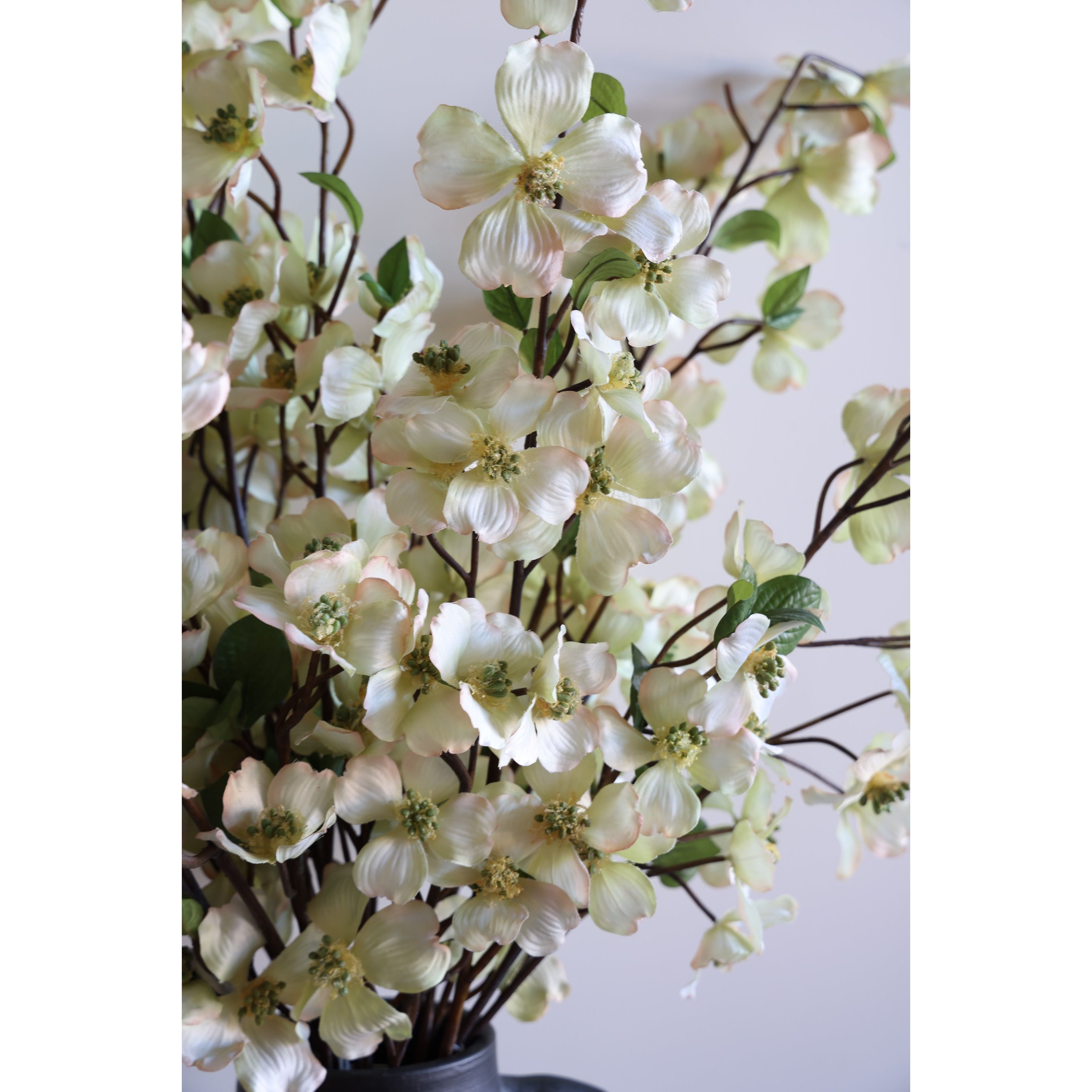 Dogwood 39