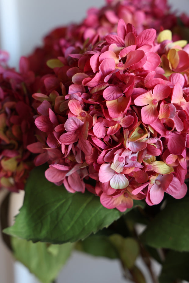 Hydrangea Stem - Pink- 31"