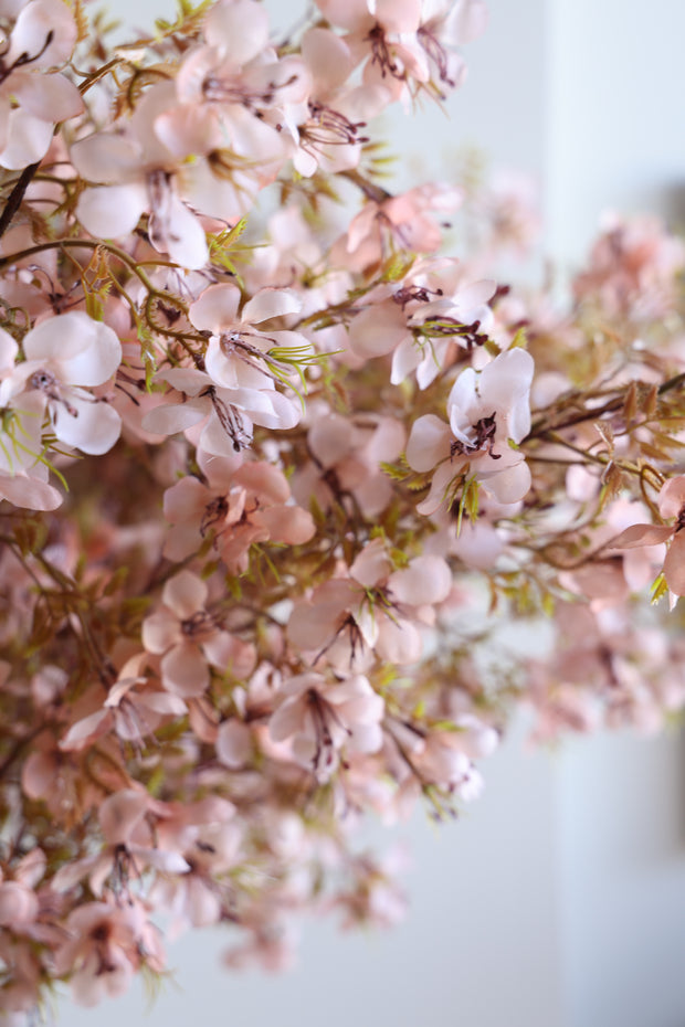 Prunus Blossom Stem