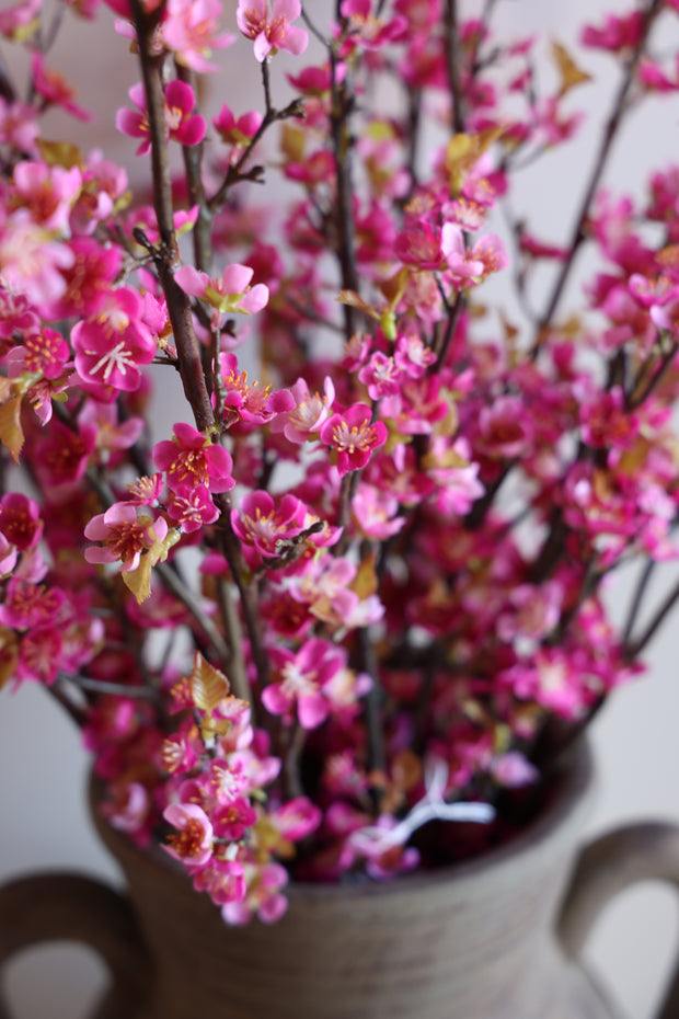 Plum Blossom Branch