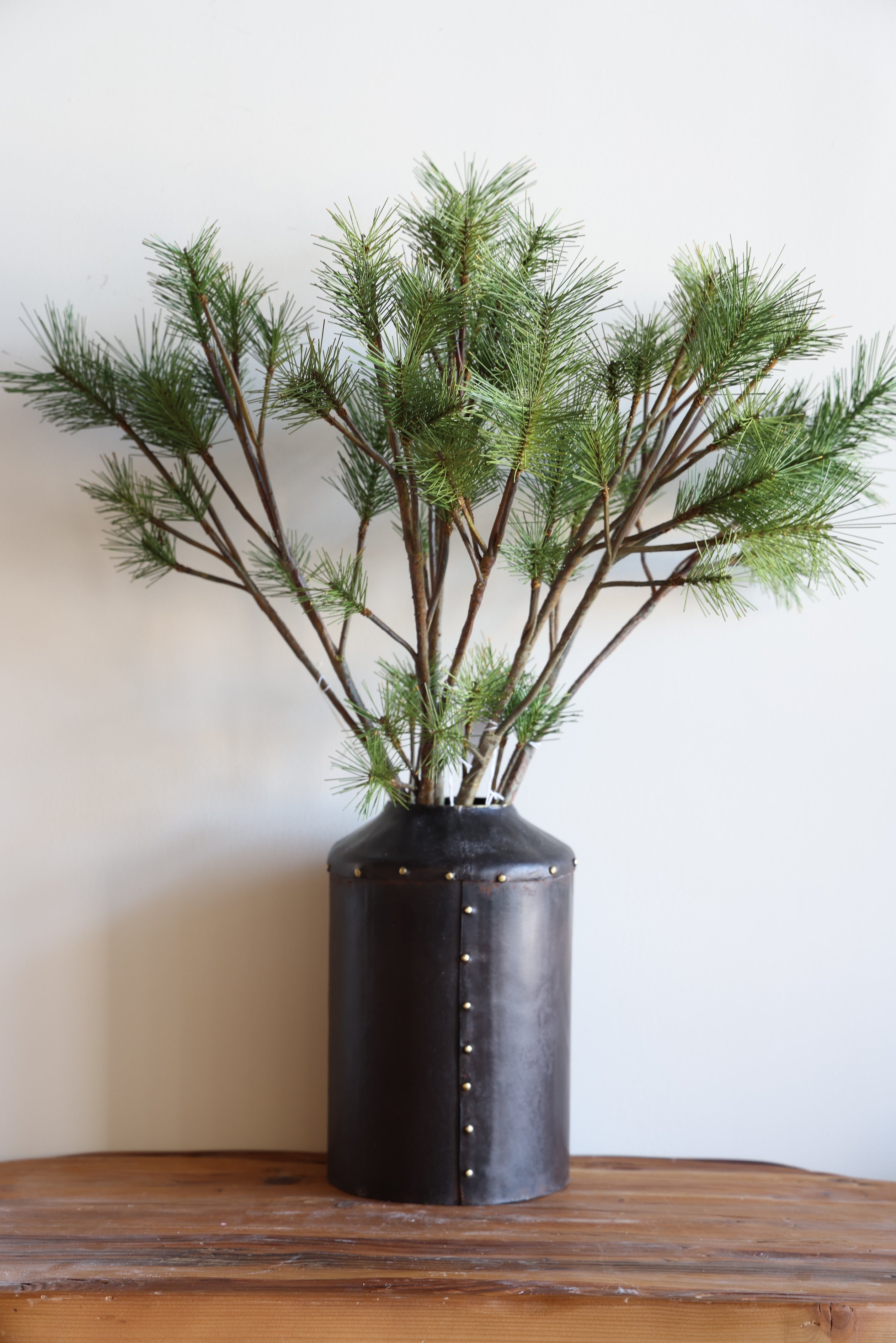 Pine Branch 27