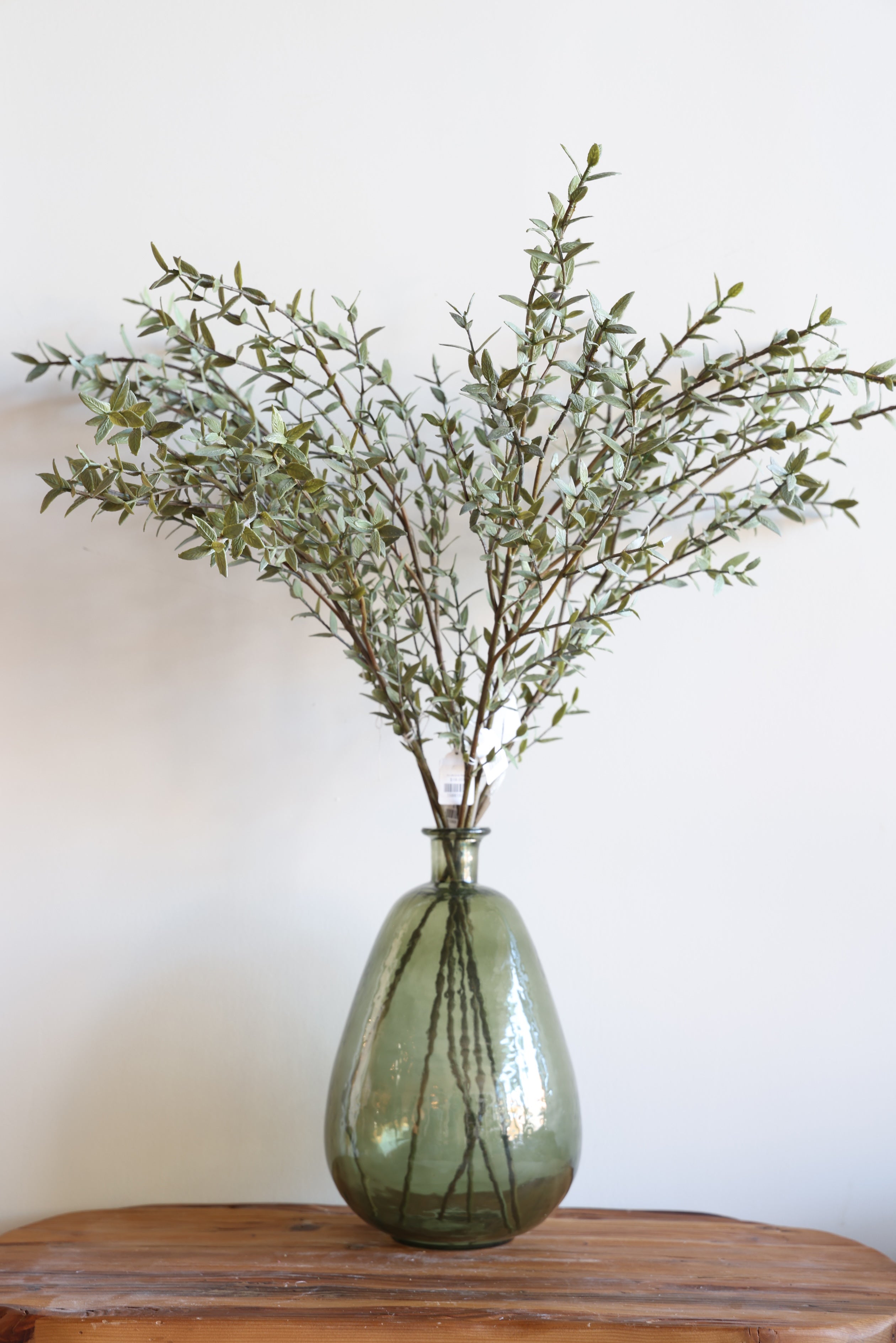 Eucalyptus Stem 36