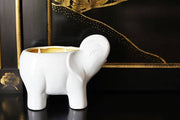 White Elephant Candle | Elephant Collection