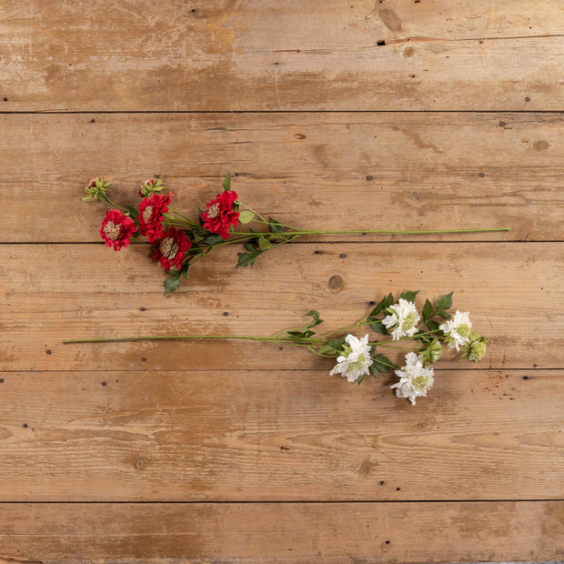 30" RED SCABIOSA SPRAY
