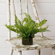 Mossy Faux Fern