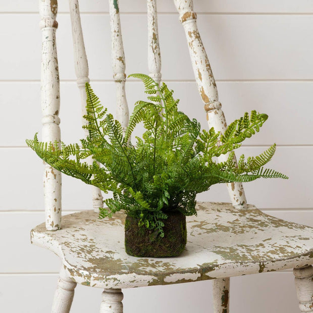 Mossy Faux Fern