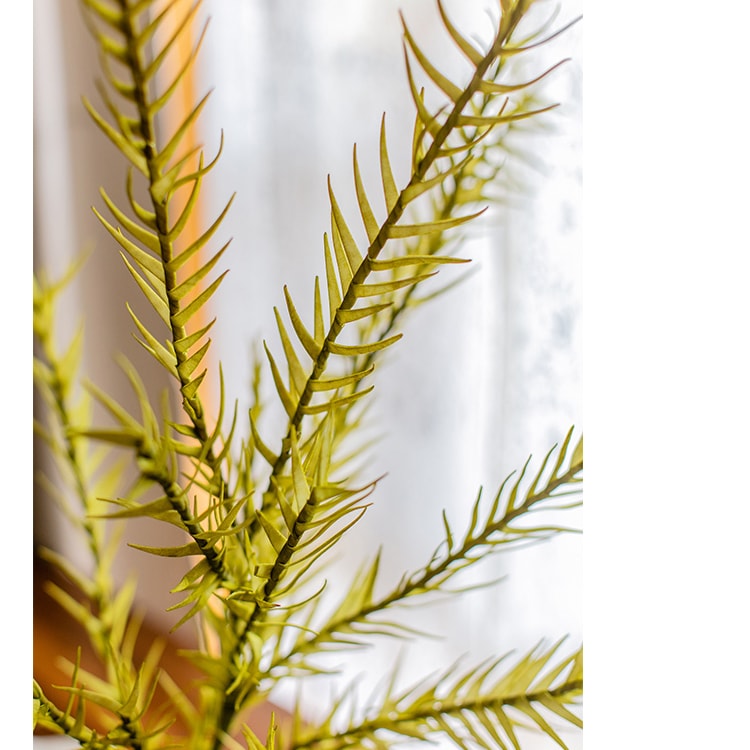Flax Grass Stem in Yellow