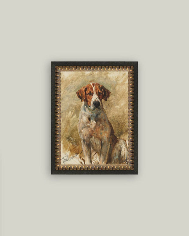 Study of a Hound