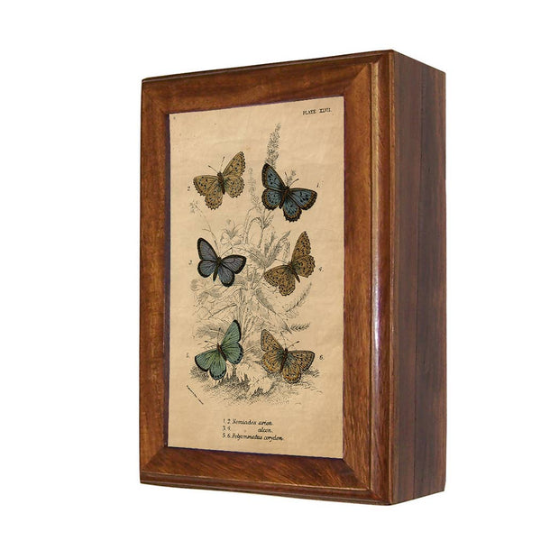 Vintage Butterfly Decorative Solid Wood Trinket Boxes