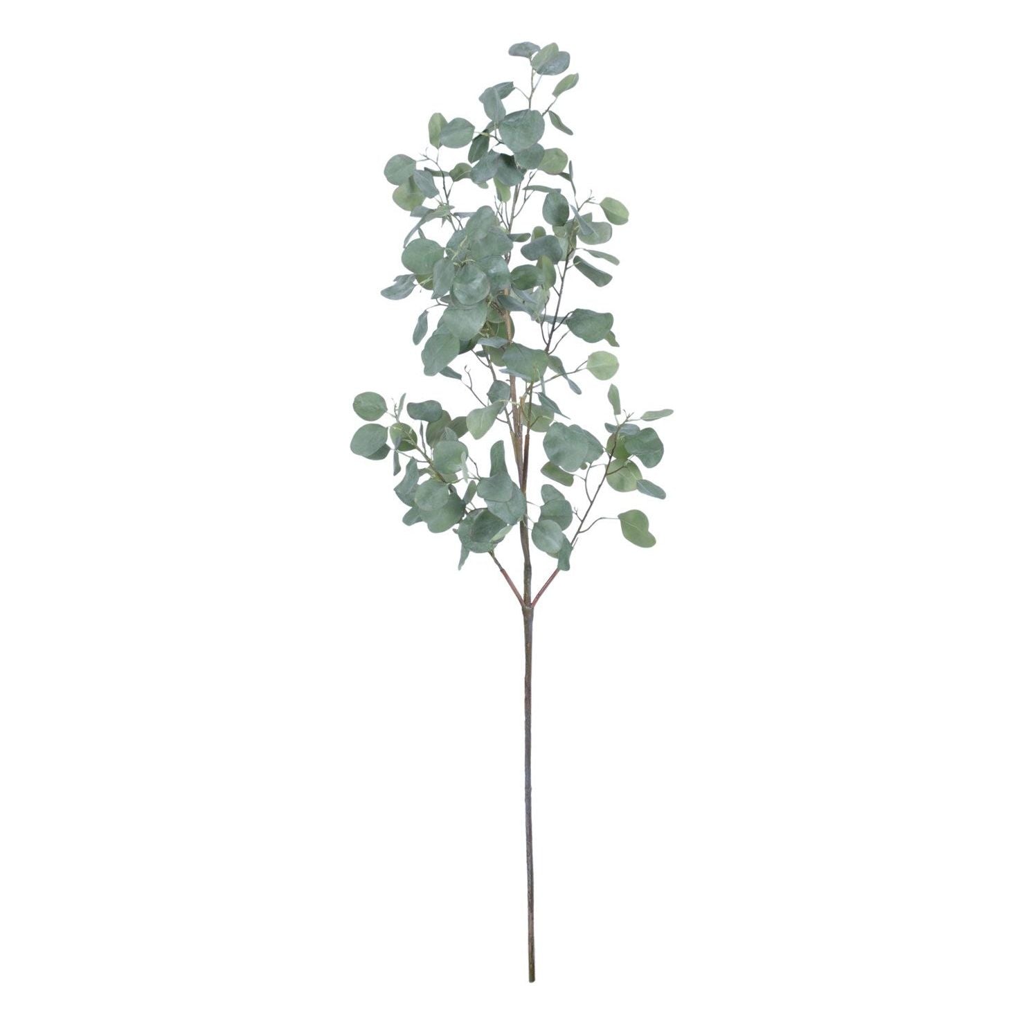 Eucalyptus Spray 60