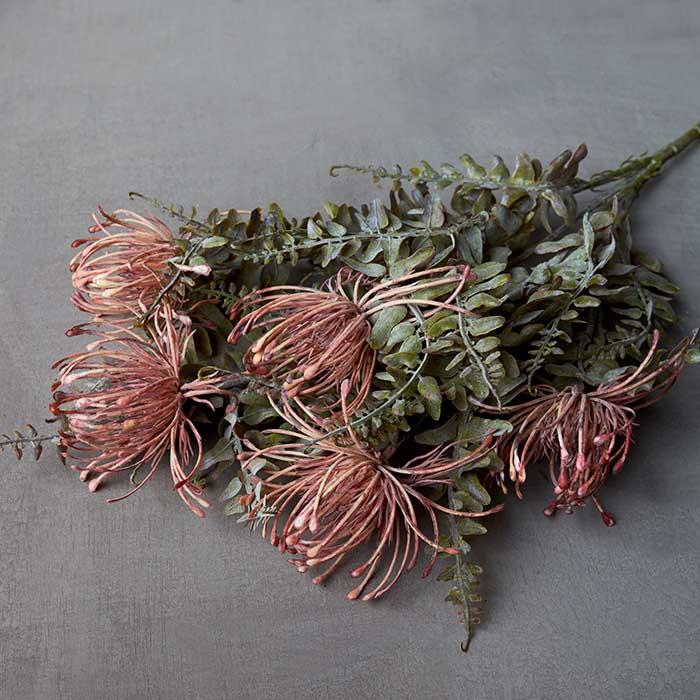 Leucospermum Bush Stem