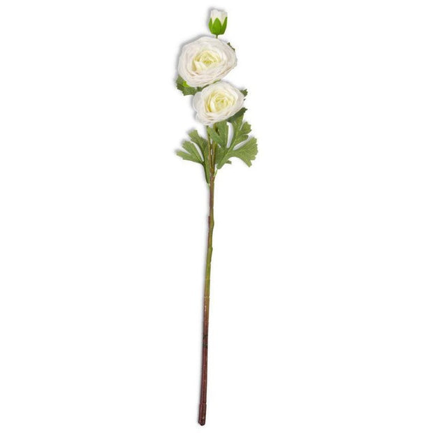 25" White Ranunculus Stem