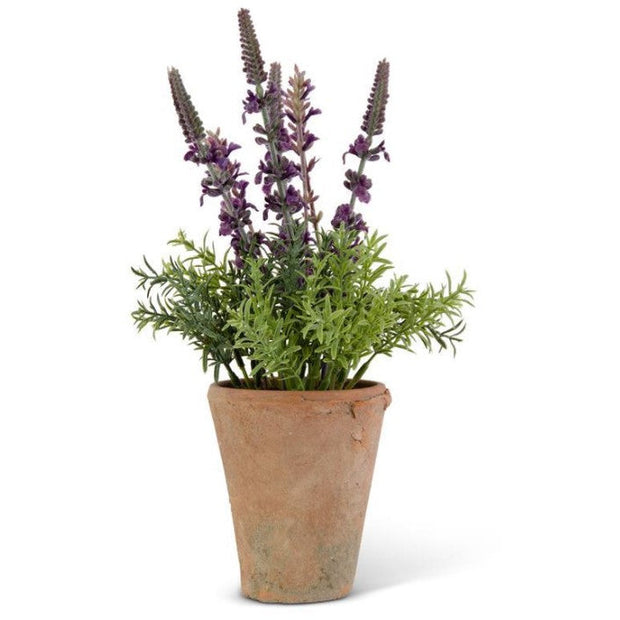 12.5" Lavender in Distressed Clay Pot