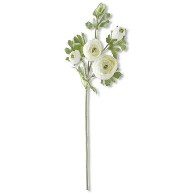21.5" White Ranunculus Stem