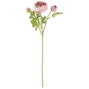 21" Light Purple Ranunculus Stem