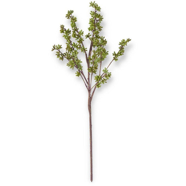 24.5" Green Eucalyptus Berry Bud Stem