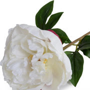 Peony Stem with Leaves, 21" - White