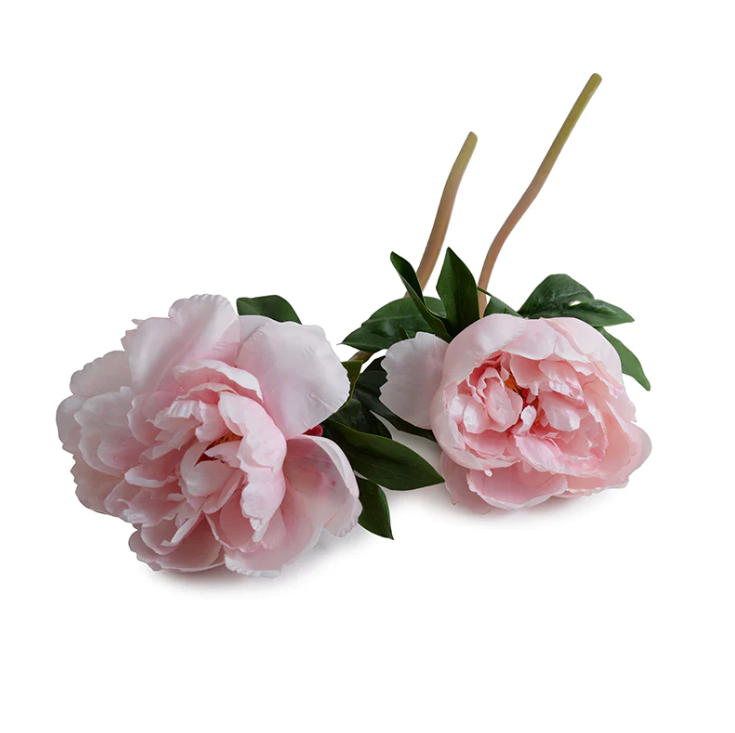 Peony Stem with Leaves, 21