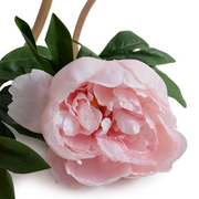 Peony Stem with Leaves, 21" - Pink
