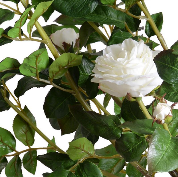 56" Rose Tree Topiary With White Flowers