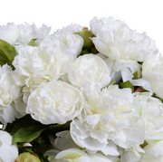 White Peony Bouquet - 22"D x 15"H