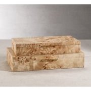 Burl Wood Veneer Box - Large