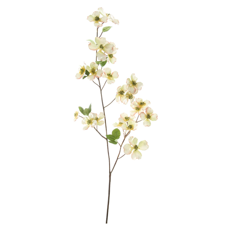 Dogwood 39