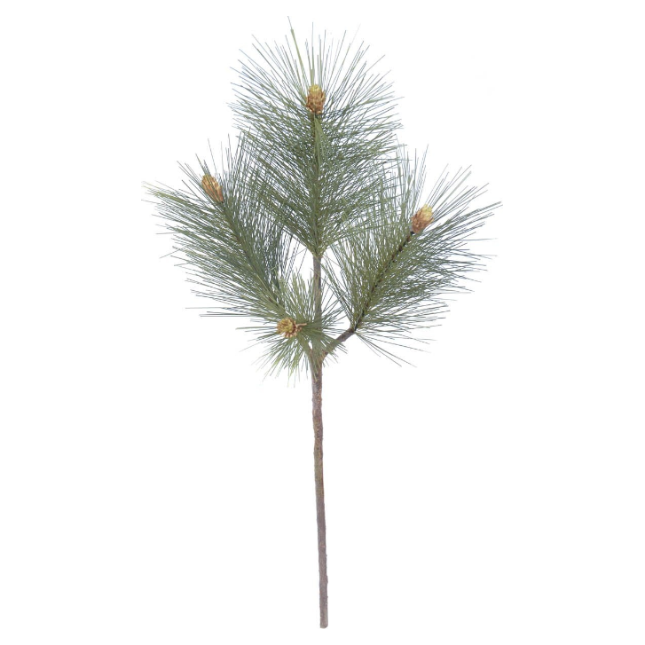 Pine 23