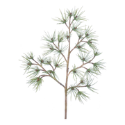 Pine Branch 27"