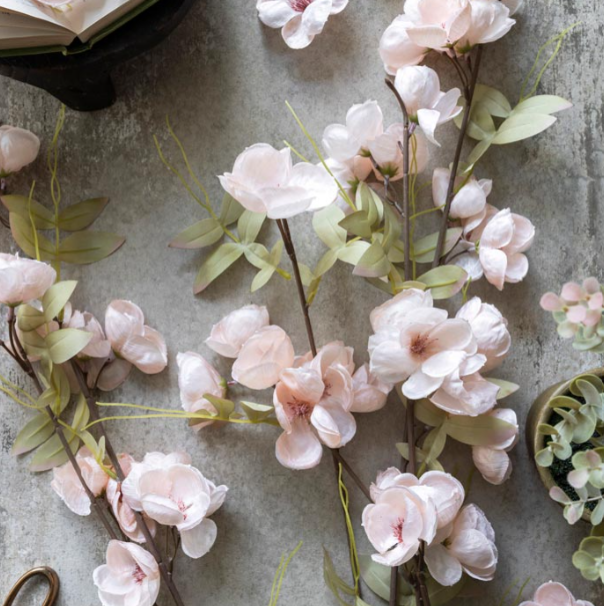 Quince Blossom Stem