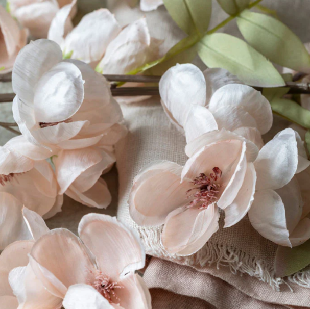 Quince Blossom Stem