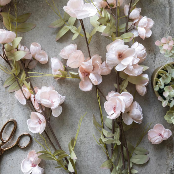 Quince Blossom Stem