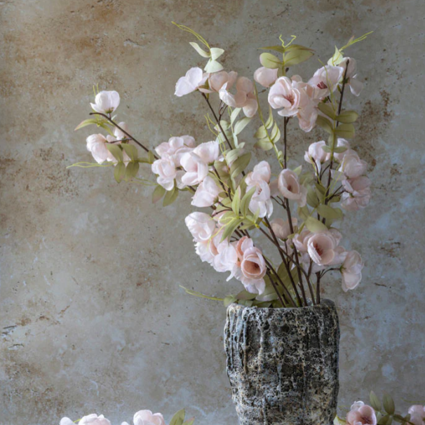 Quince Blossom Stem