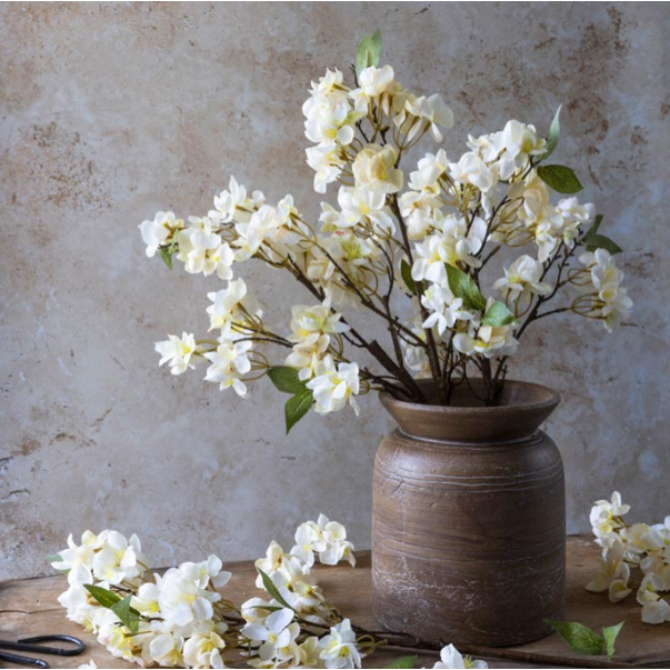 Apricot Blossom Stem