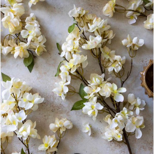 Apricot Blossom Stem